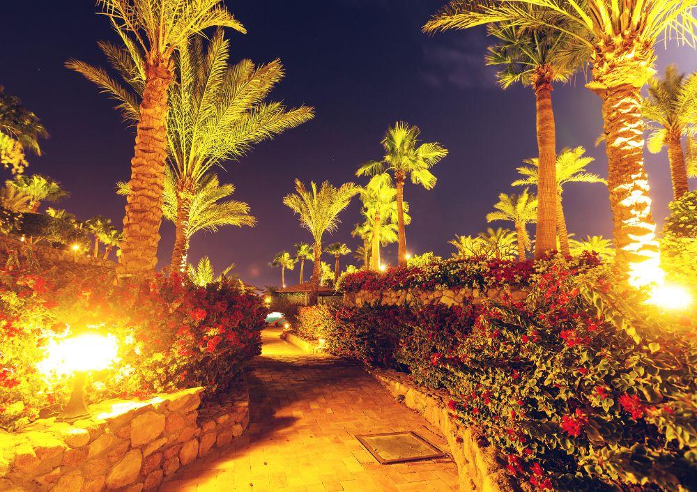 Landscape Lighting