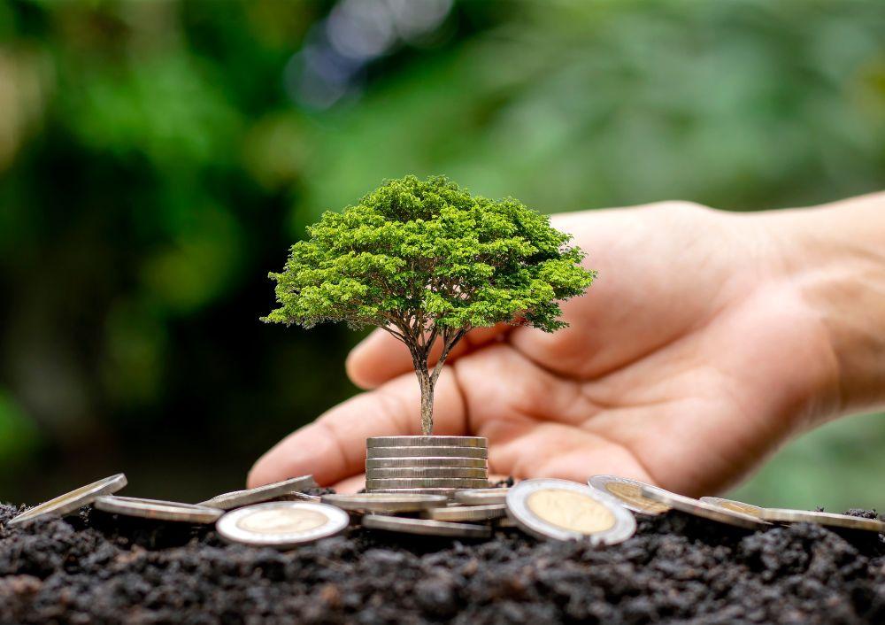 Sustainable Landscaping
